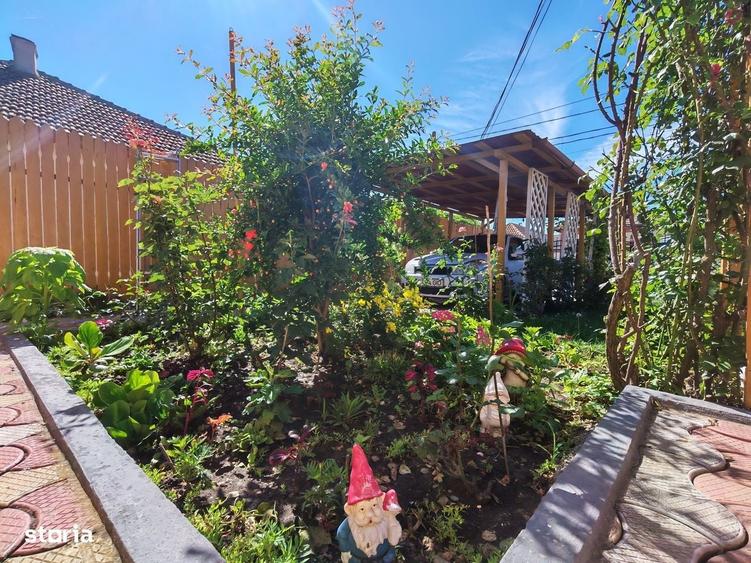 Casă cu 3 camere decomandat cu Teren 1540 Mp în Central