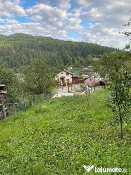 Teren de 1238 mp, în Dodeni