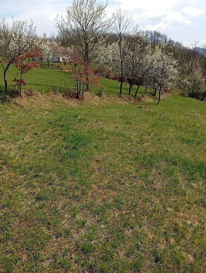 Teren de 2800 mp, în Ormindea