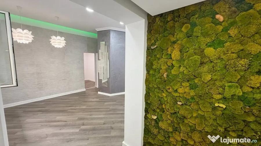 Casă cu 3 camere cu Teren 90 Mp în Pache Protopopescu
