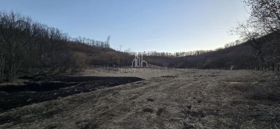 Teren agricol extravilan de 20 mp, în Daneș