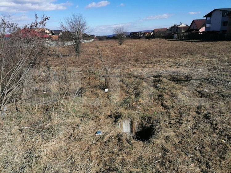 Teren Construcții intravilan de 2600 mp, în Cetate