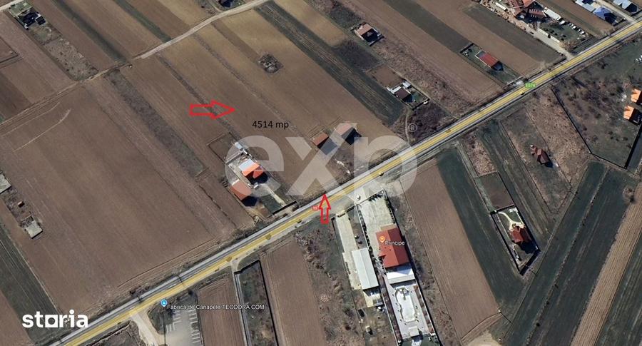 Teren de 4514 mp, în Luizi-Călugăra