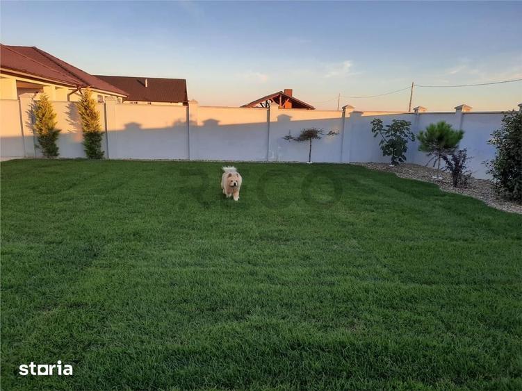 Casă cu 3 camere cu Teren 501 Mp în Sântandrei