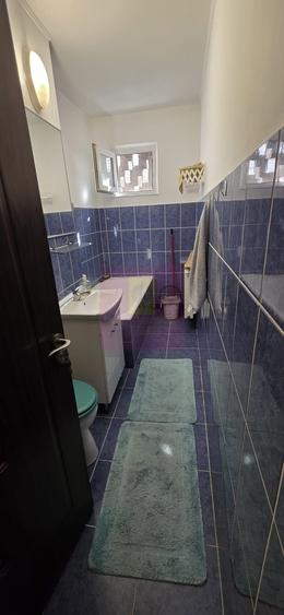 Apartament cu 2 camere, et 1 in Campina - 9