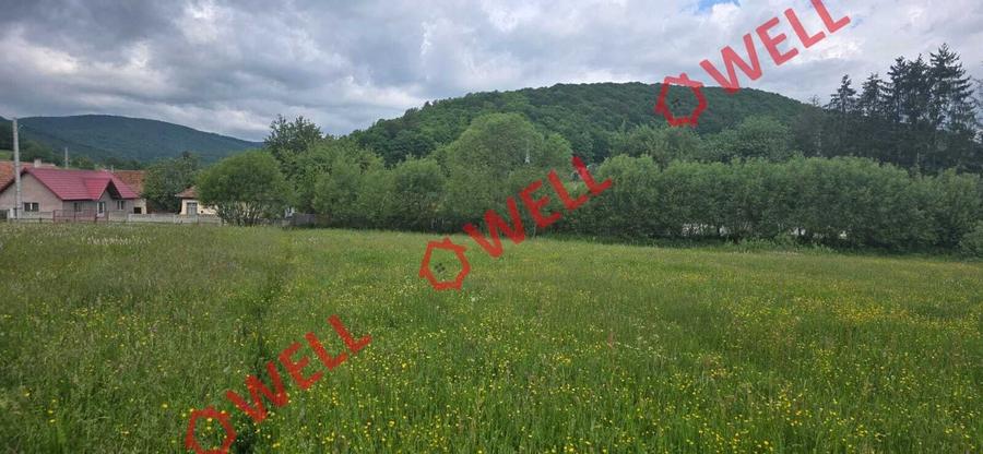 Teren extravilan de 4721 mp, în Sărămaș