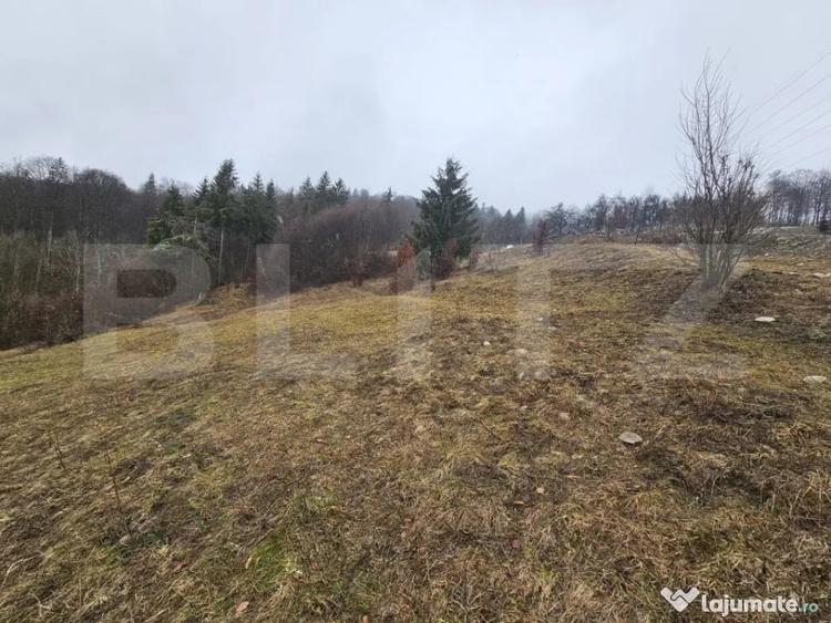 Casă cu 3 camere cu Teren 7297 Mp în Dăroaia