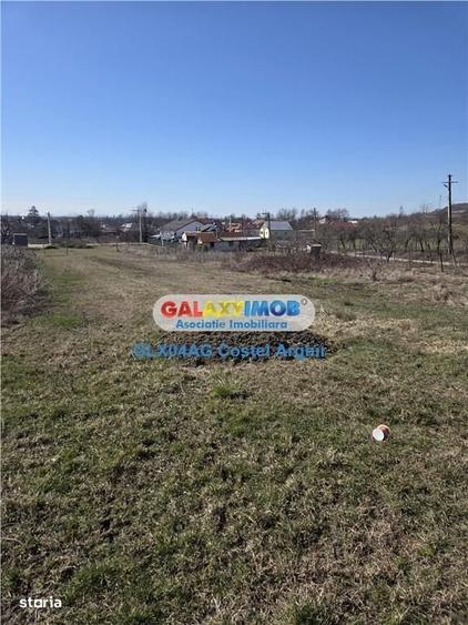 Spațiu comercial, în Călinești
