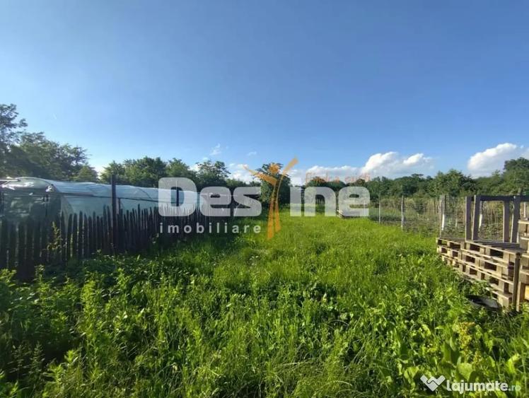 Casă cu 3 camere cu Teren 1410 Mp în Cocorăștii Mislii