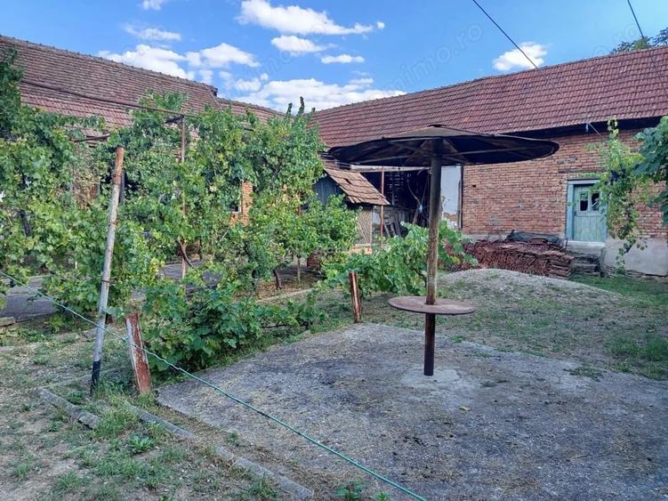 Casă cu Teren 842 Mp în Naidăș