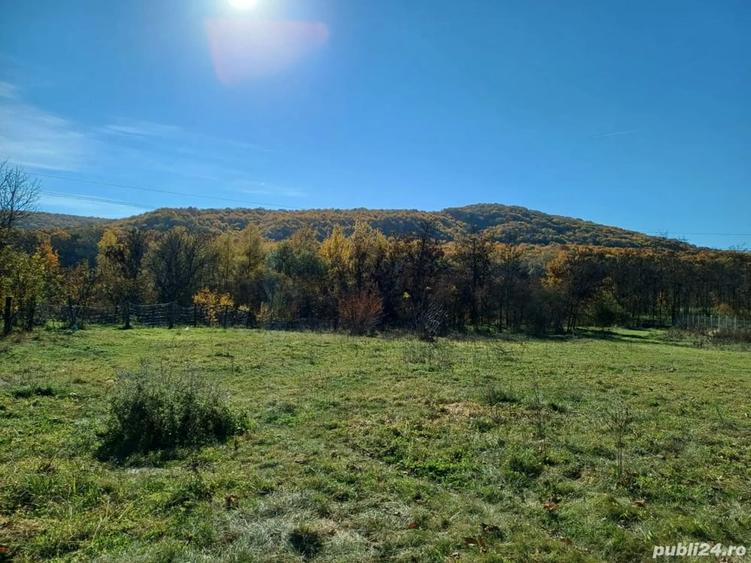 Teren de 2200 mp, în Valea Sălciilor