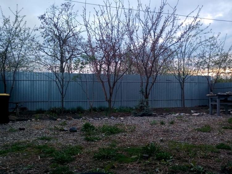 Casă cu 2 camere cu Teren 350 Mp în Central