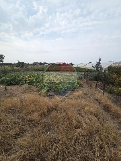Casă individuală cu 4 camere cu Teren 3196 Mp în Mădăras