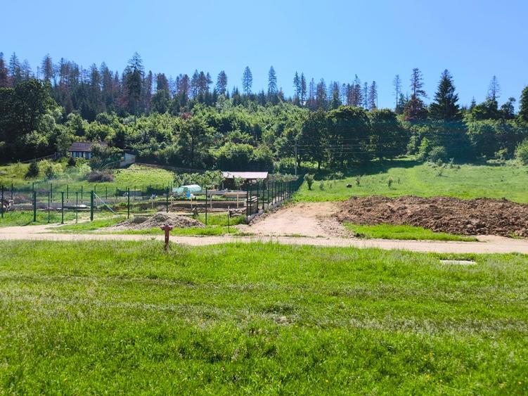 Teren Construcții intravilan de 2000 mp, în Cristian