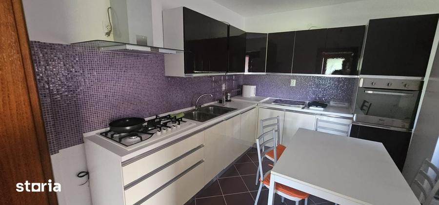 Casă cu 5 camere cu Teren 3600 Mp în Bâlca