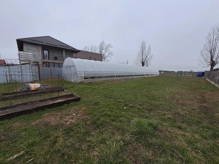 Teren pentru casa sos.Unirii nr 198 Caciulati - 3