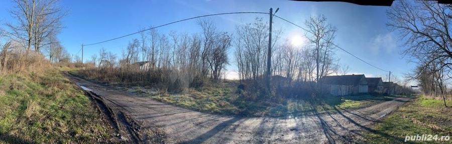 Teren de 3275 mp, în Petrovaselo