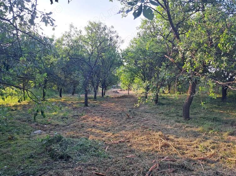 Casa cu anexe gospodaresti si teren aferent, 36 ari. - 3
