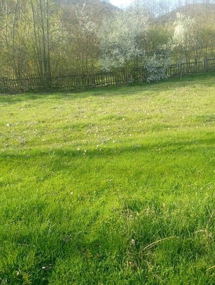 Teren Construcții intravilan de 1000 mp, în Meteș