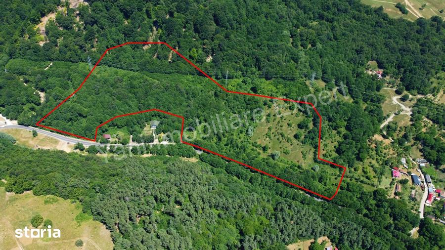 Teren de vanzare pe Transfagara?an ( 75.200 mp ) - 6