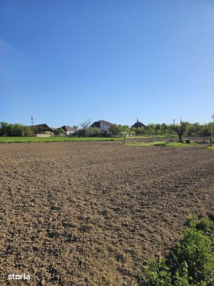 Teren de 5000 mp, în Sânmartin