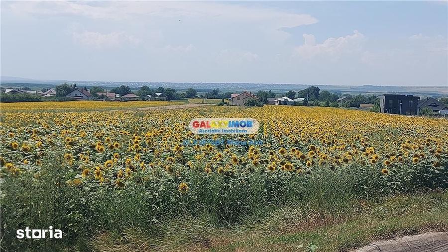 Casă cu 7 camere cu Teren 10000 Mp în Huțani