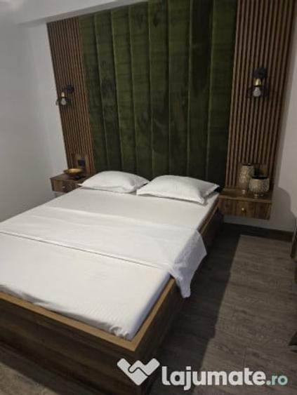 Apartament cu 2 camere decomandat în Ostroveni