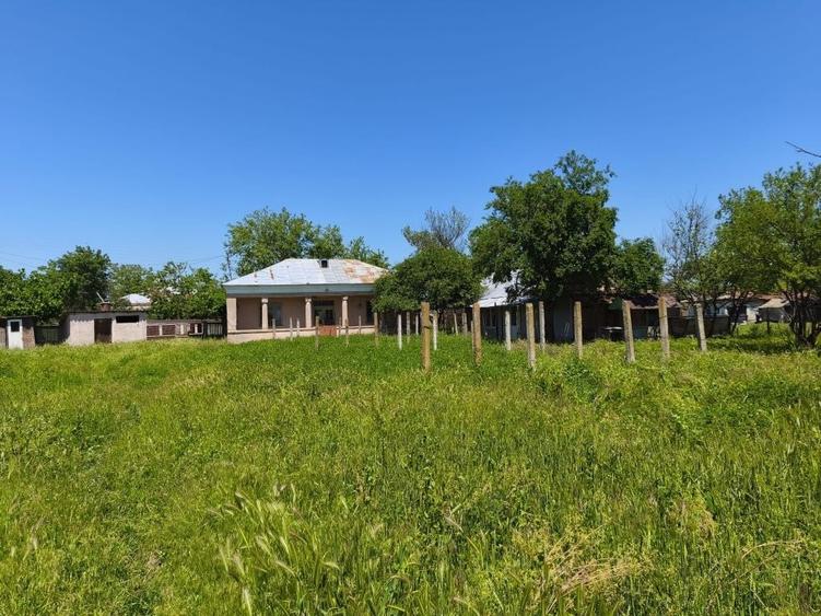 Casă cu 4 camere în Lița