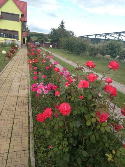 Casă individuală cu 5 camere cu Canalizare în Vadu Moldovei