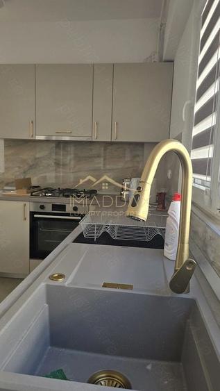 Apartament cu 2 camere decomandat în Viilor