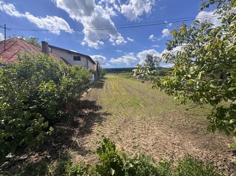Teren de 2900 mp, în Lipoveni