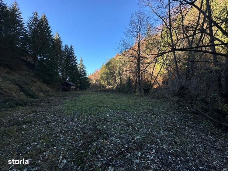 Teren de 2882 mp, în Dâmbovicioara
