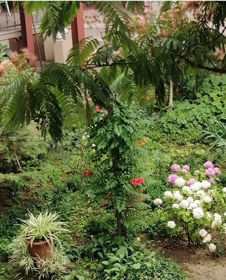 Apartament cu 2 camere în Iosefin