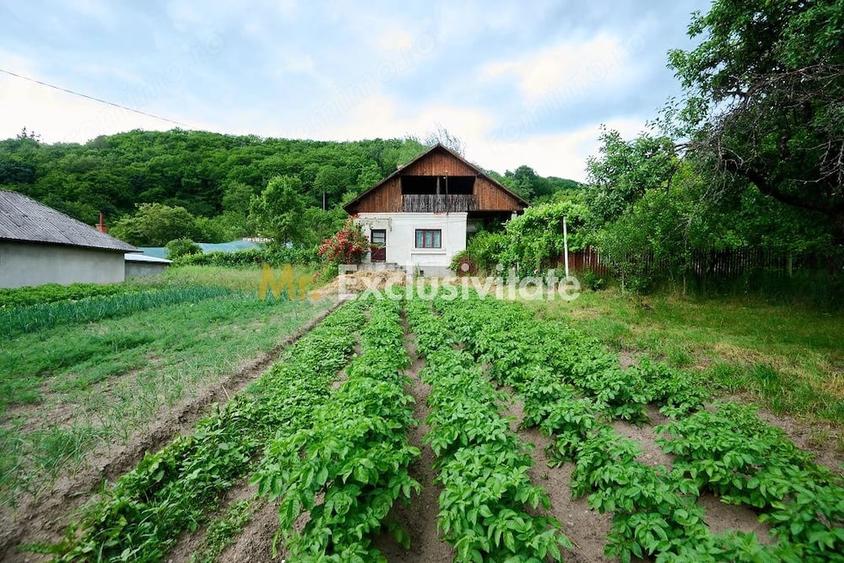 Casă cu 3 camere cu Teren 4696 Mp în Central