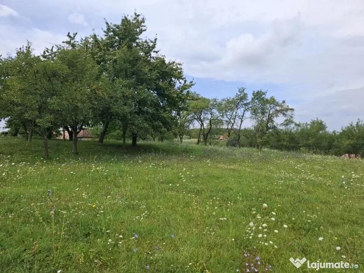 Teren intravilan pentru casa 1360 mp, la 10 minute de Zalau - 1