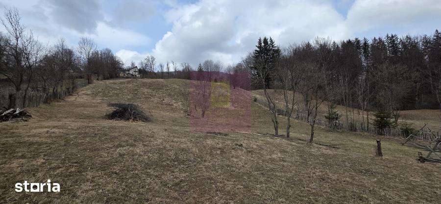 Teren de 2500 mp, în Valea Doftanei