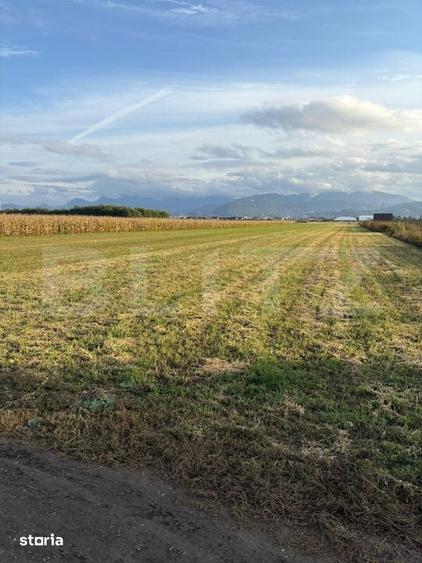Teren de 4350 mp, în Stupini