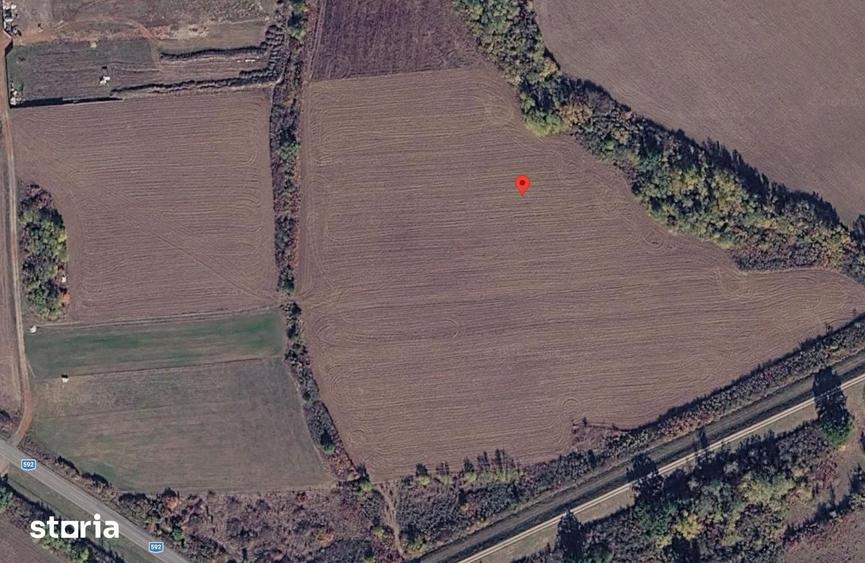 Teren de 5500 mp, în Moșnița Nouă