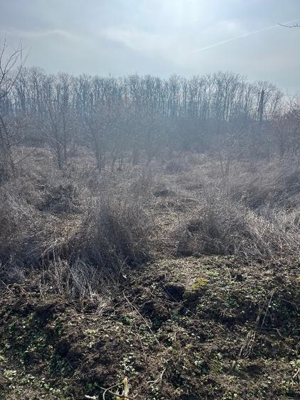 Teren agricol intravilan de 1069 mp, în Central