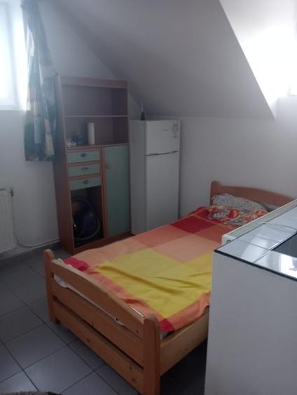 Dau în chirie  - 1