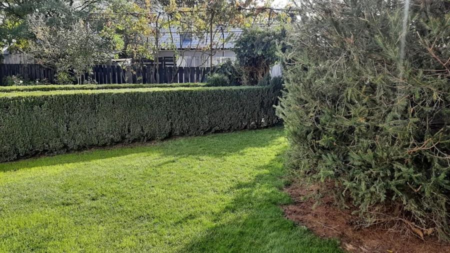Casă cu 3 camere cu Teren 837 Mp în Petrăchioaia