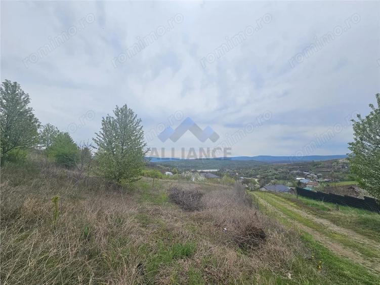 Teren de 9000 mp, în Ciurbești