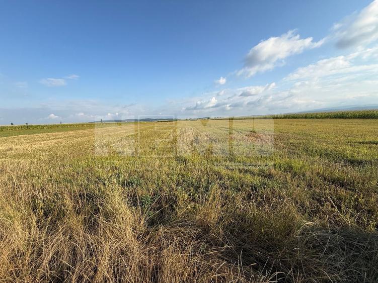 Teren Construcții extravilan de 4578 mp, în Horodnic de Sus