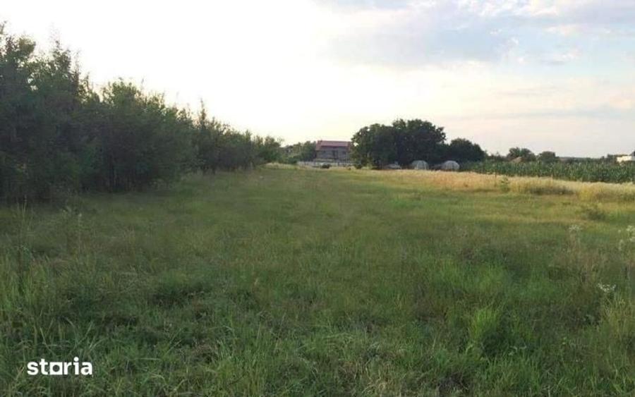 Teren de vanzare | Ciofliceni | Utilitati - 1