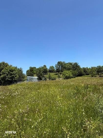 Teren de 1820 mp, în Săcuieu