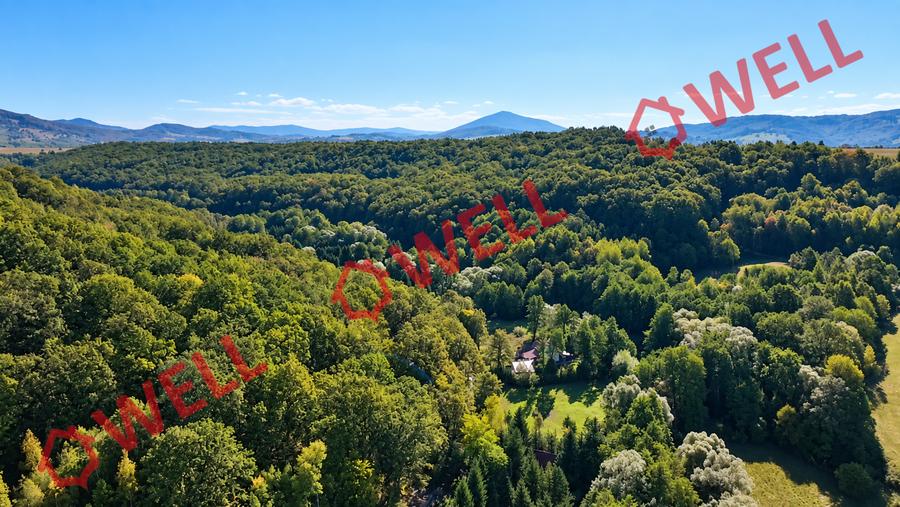 Teren extravilan de 16800 mp, în Bățanii Mici