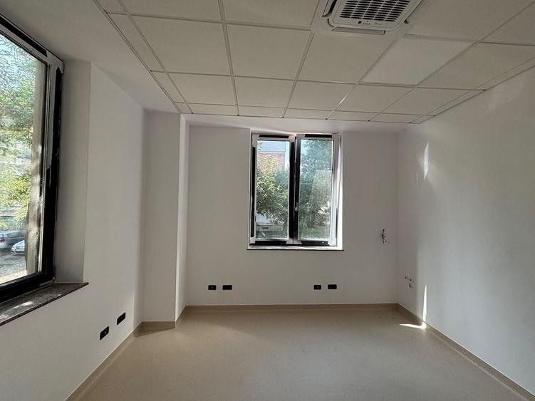 Spațiu comercial, de 900 mp, în Precista