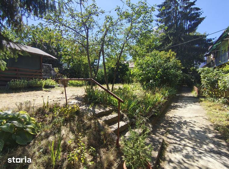 Garsonieră decomandată în Gruia — fotografia 3