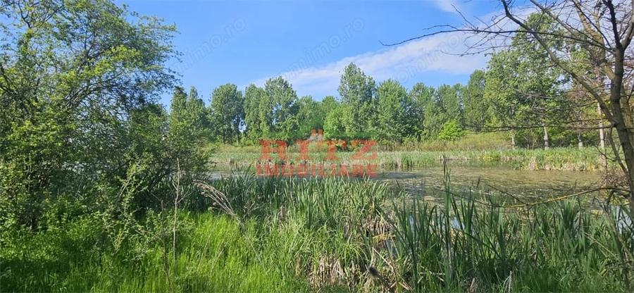 Teren de 295000 mp, în Stoenești