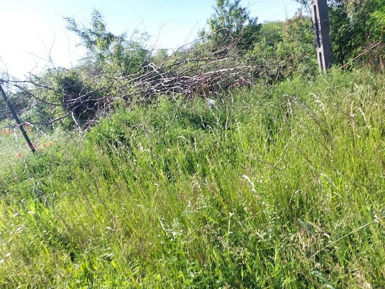 Teren vanzare Filia?i, 2018 mp, 15.000 euro, strada 24 Ianuarie - 1